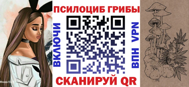 наркотики  Нурлат  Галлюциногенные грибы Psilocybe 