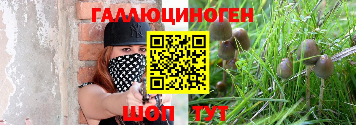 Галлюциногенные грибы Cubensis Нурлат